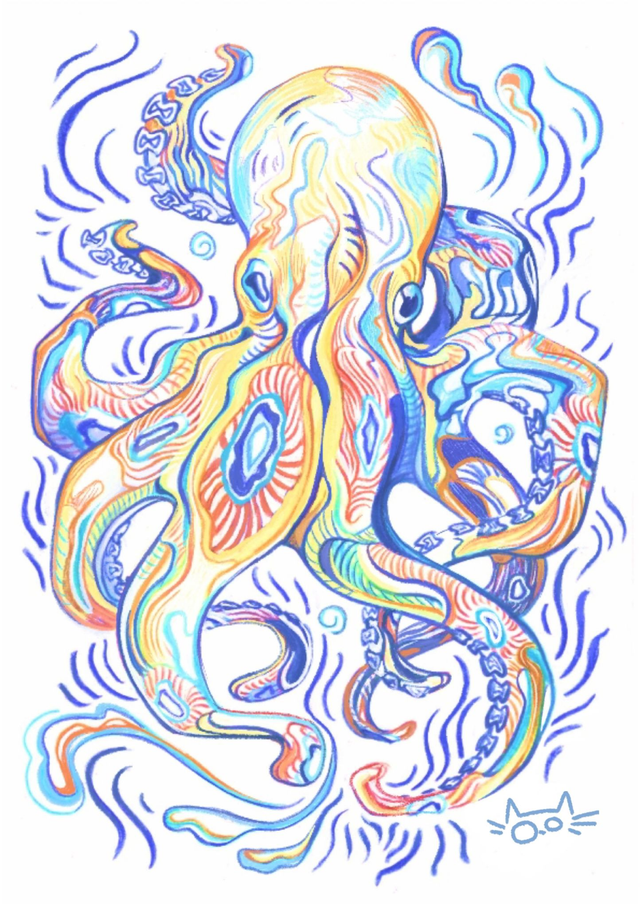 Série animaux marins - Pieuvre aux anneaux bleus