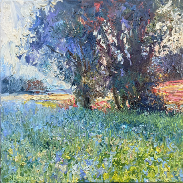 „Abendglühen über den Feldern“ – Öl auf Leinwand, 60 × 60 cm | 2024