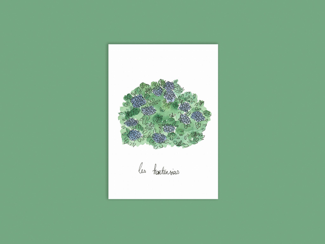 Carte hortensias