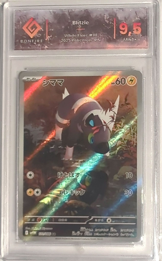 2025 Blitzle Whole Flare #111 - Bonfire 9.5