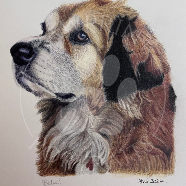 Pawprint Portrait Commission