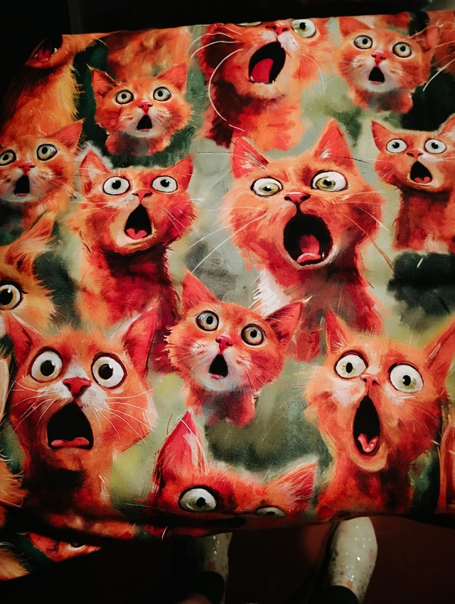 Tissu Jersey Chats surpris POUR COMMANDE 