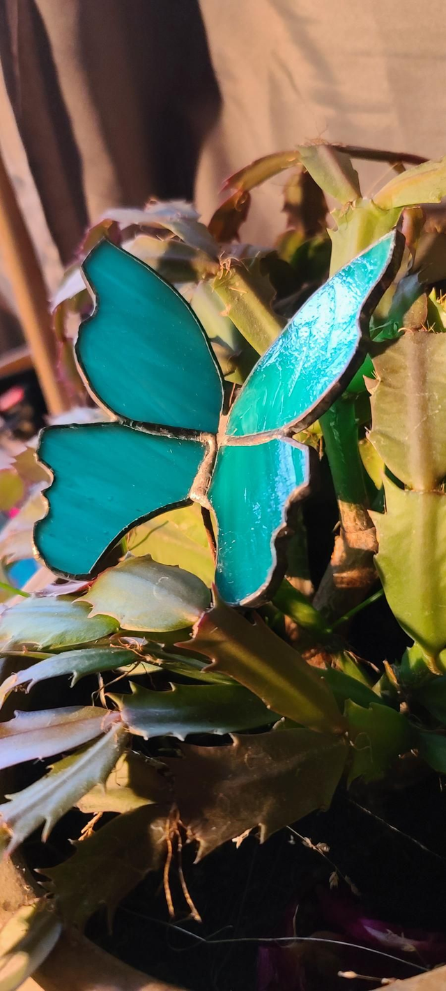 Papillon en verre opalescent bleu, en Tiffany. 