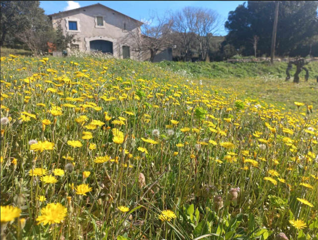 Visite et Degustation