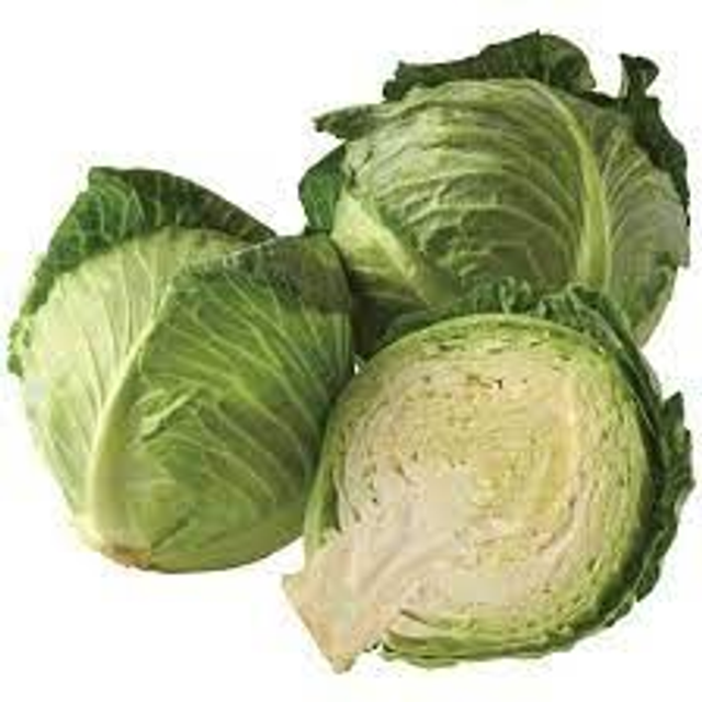 CABBAGE (Each)