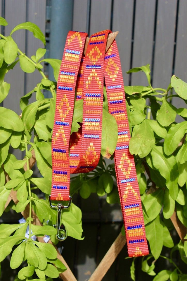 Laisse pour chien en sangle – Robuste et légère