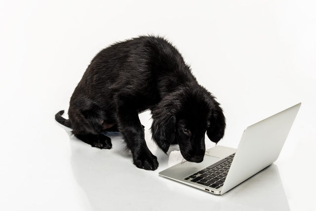 Portretshoot in de studio