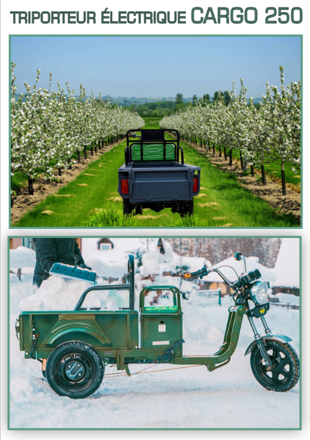 Tricycle électrique Cargo 250