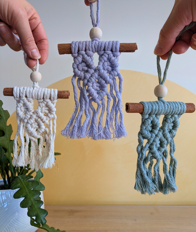 Féérie de Cannelle S