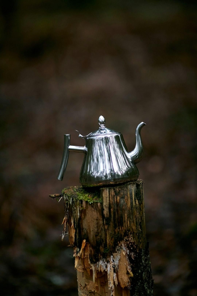 Mushroom teapot