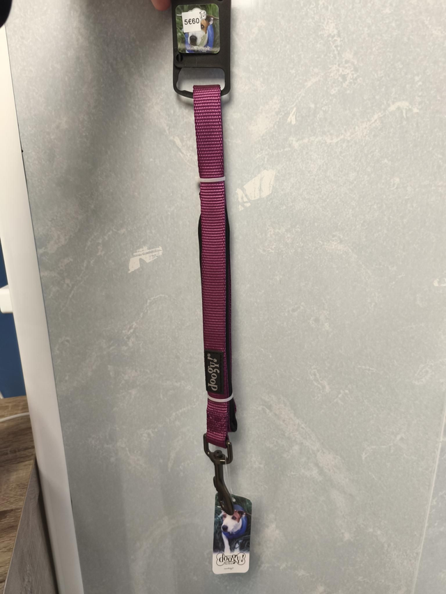 Laisse classic violette 1,2m x 20mm 