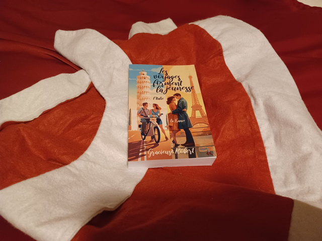 Roman : Les voyages forment la jeunesse, de l'Italie à la France (broché)