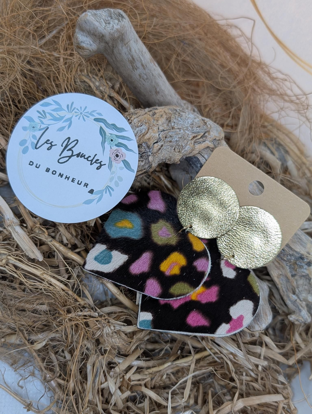 Clips coeur ❤️ Graou multicolore 