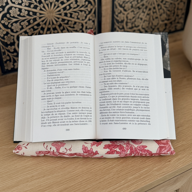 Coussin de lecture
