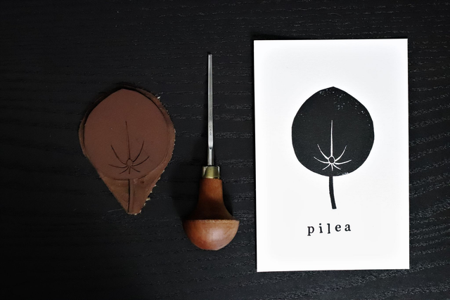 Linogravure A6 feuille de Pilea