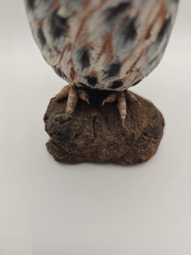 Petite chouette en bois peint