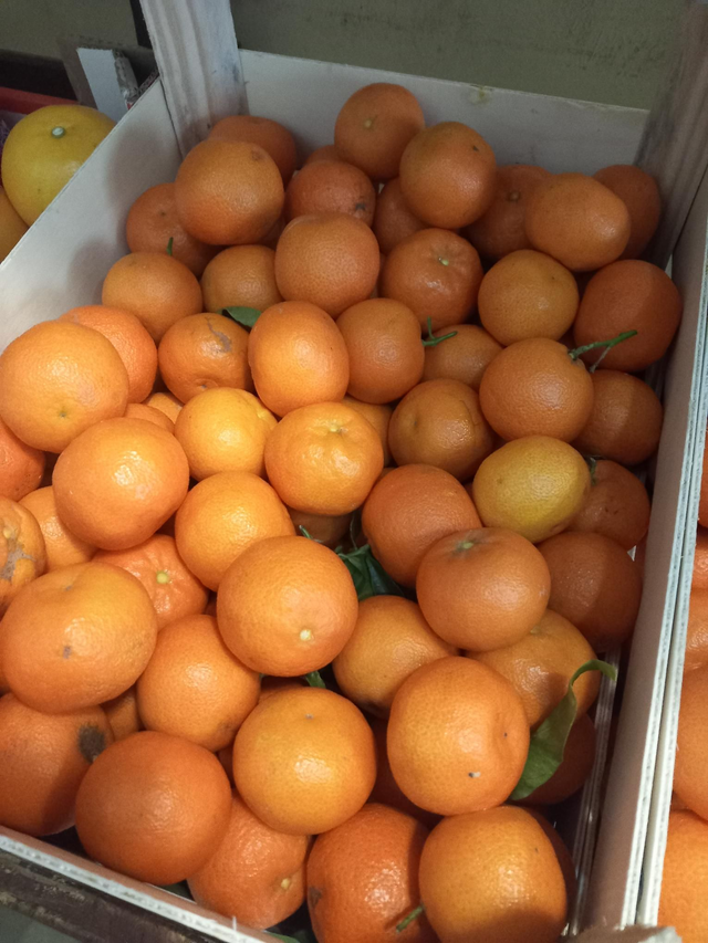 Clementine senza semi calibro piccolo