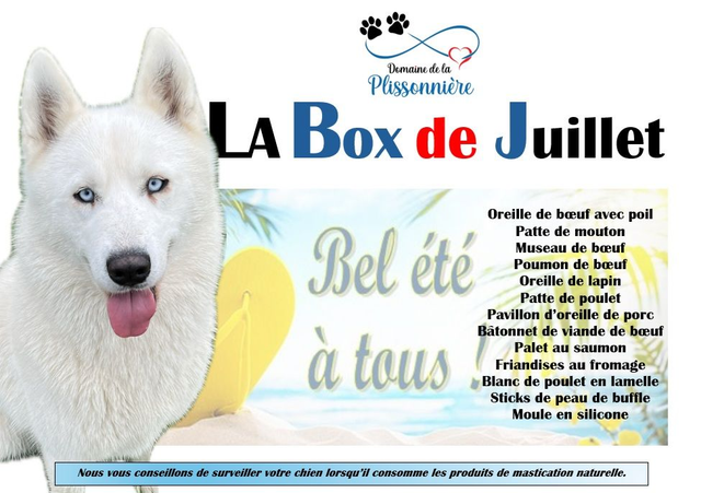 A - La Box de Juillet