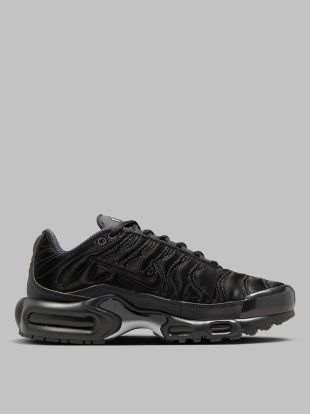 Nike Air Max Plus Black Anthracite Sail  (Taille 44.5)