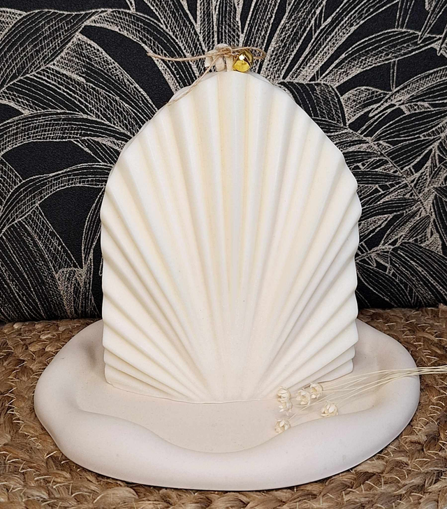 Bougie feuille de pampa🌿