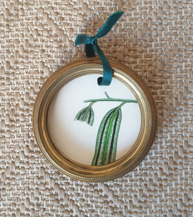 Frondaisons - médaillon en métal doré et reproduction d'image ancienne