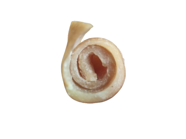 PEAU DE PORC ROULEE 50CM