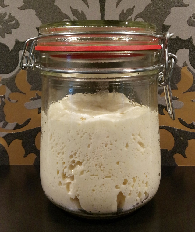 Lievito Madre "Camillo"