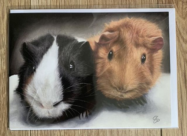 Greetings Card - Guinea Pigs - Blank Inside