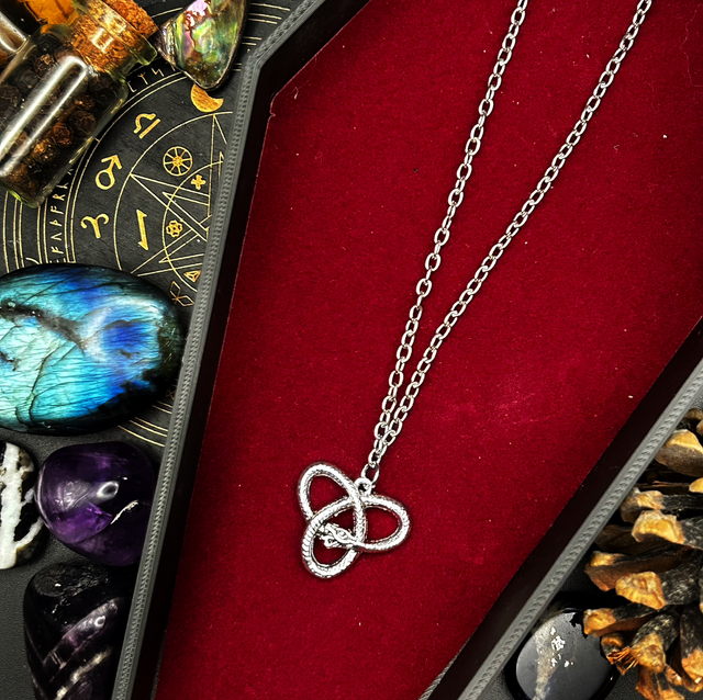 Ouroboros necklace 