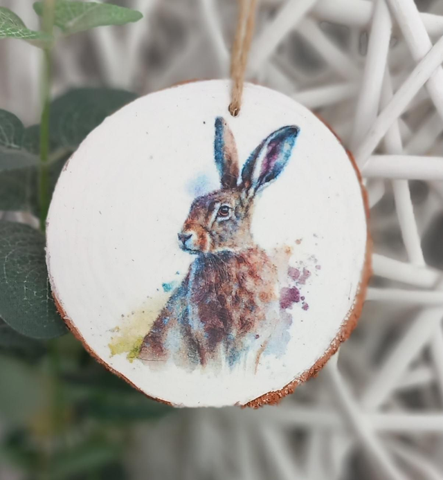 Hare log slice