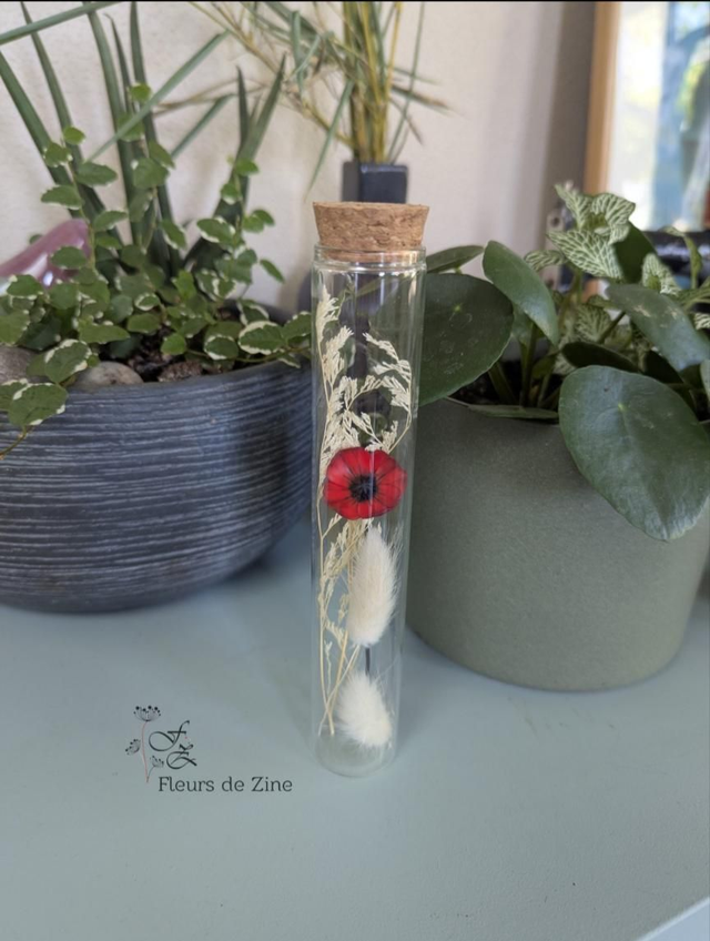 Coquelicot dans son écrin de verre