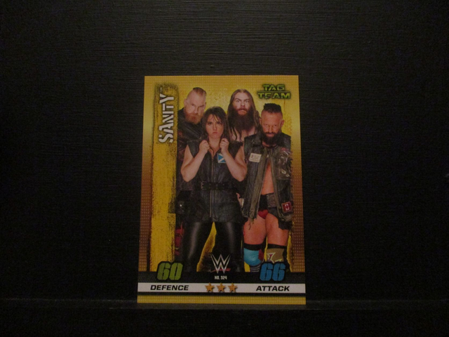 SAnitY - Tag Team Slam Attax 10th Edition Original Trading Card #324
