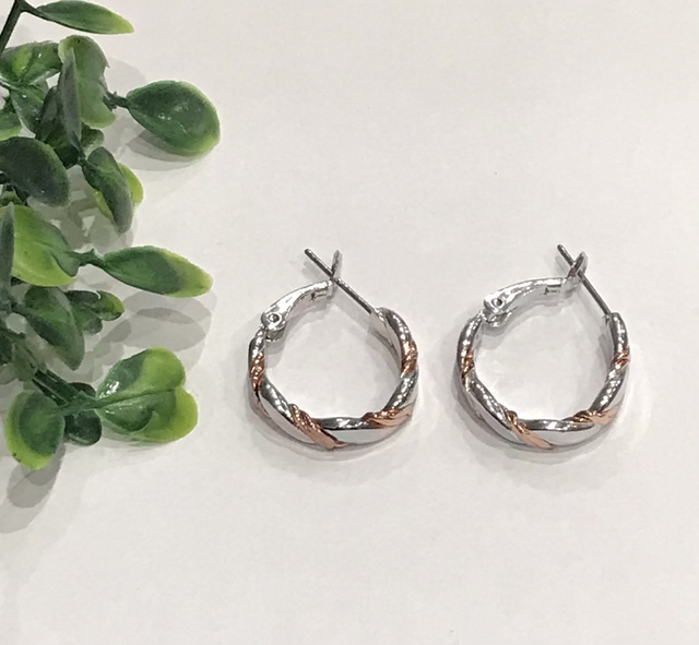 Silver Dangling Earrings- SDE63