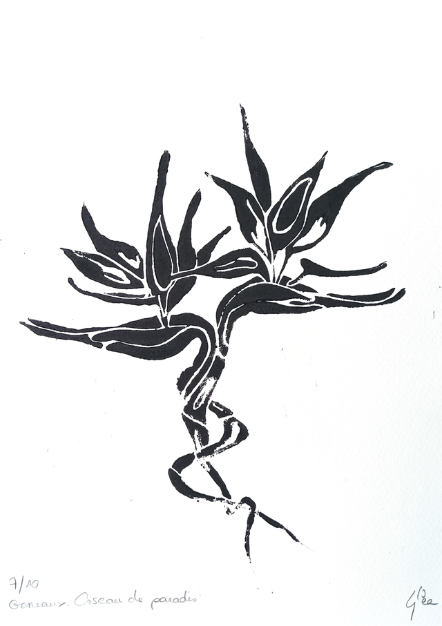 Oiseau de paradis. Gémeaux