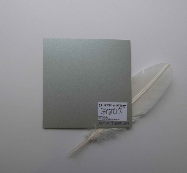 Joli martin-pêcheur de Noël