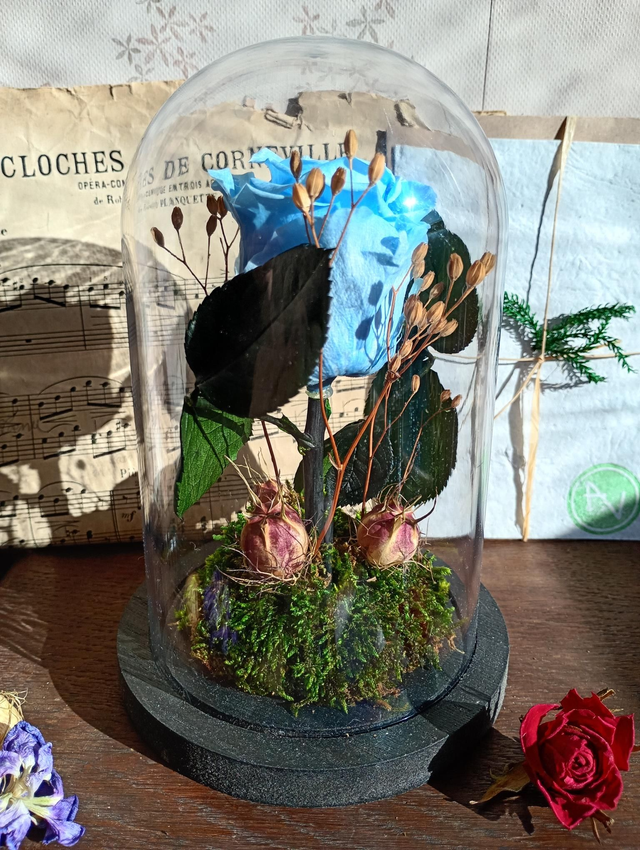 S02 Rose noire sur tige