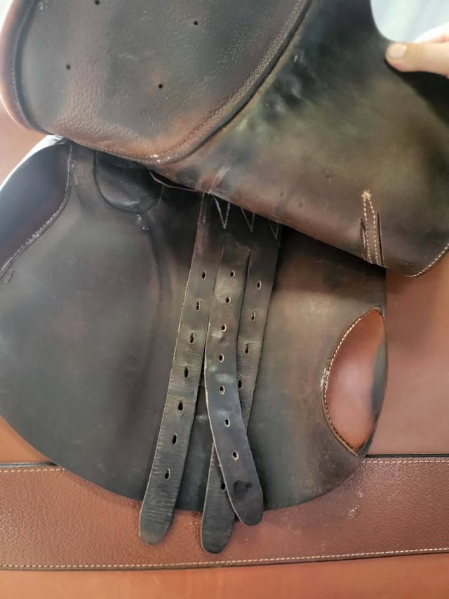 selle mixte/obst Childéric - 17'5 - occasion