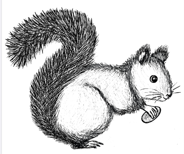 Stempel Eichhörnchen Kiki 5x6cm