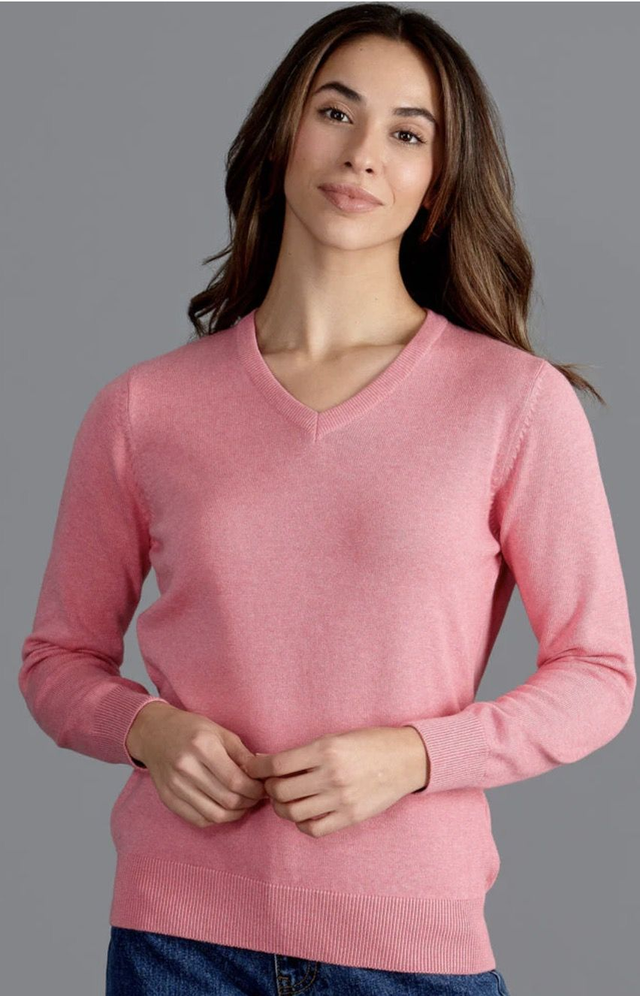 Pure Cotton V-Neck Jumper