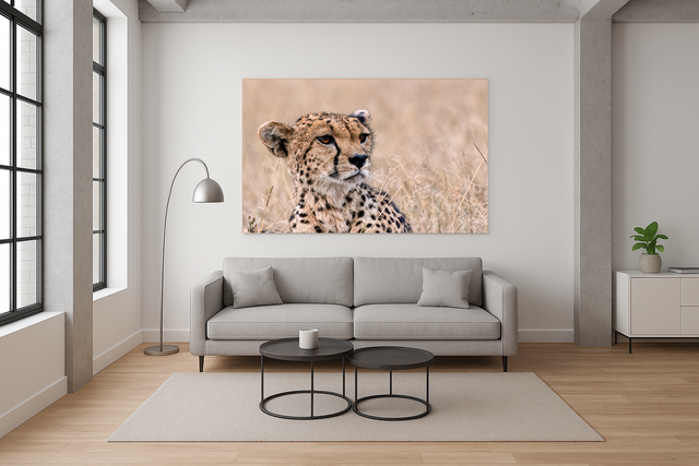 Ritratto di ghepardo Stampa Fine-Art su carta cotone Hahnemūhle Photo Rag Ultra Smooth 305 gr montata su pannello piuma spessore 15 mm