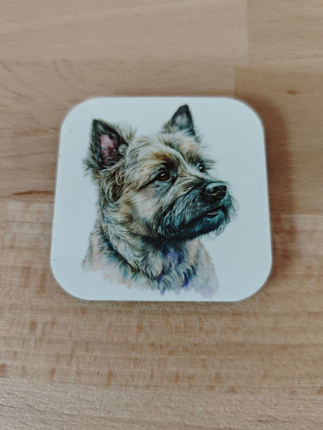 Magnet Cairn Terrier