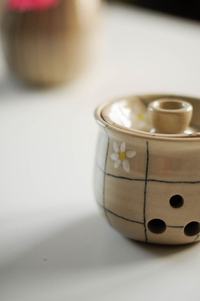 Knoblauchtöpfchen, Gänseblümchen