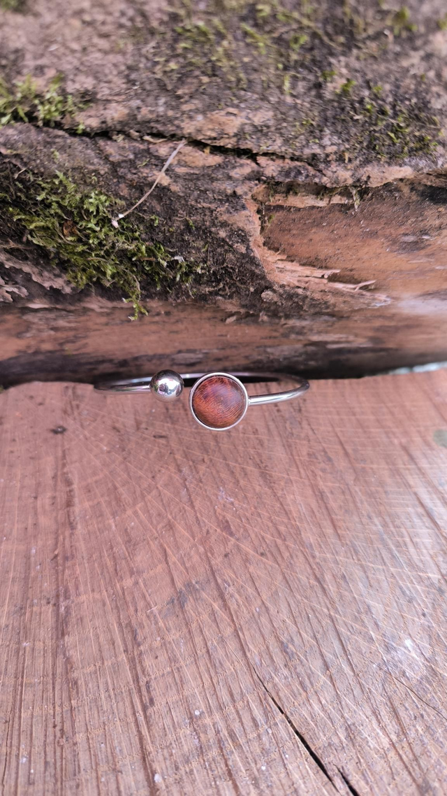 Mirabellier - 250051