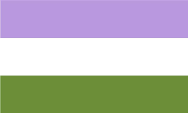 Genderqueer Pride Flag