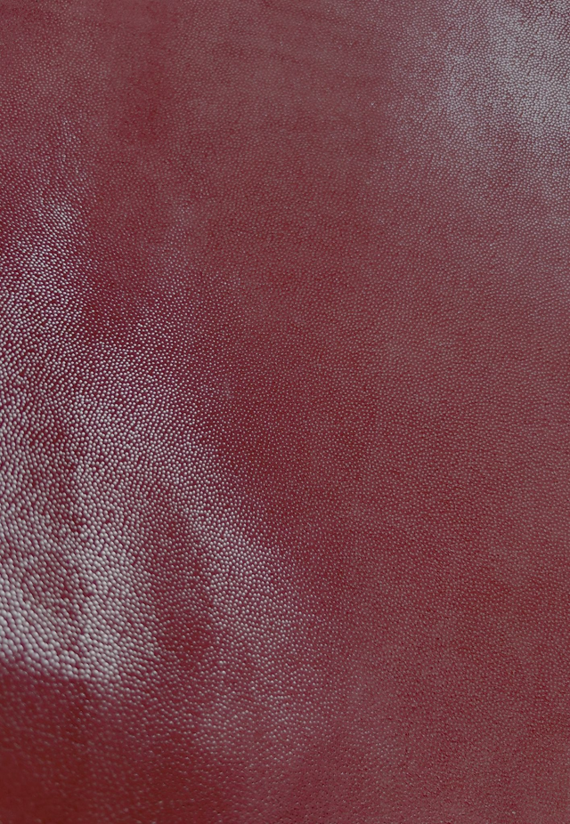 Chute de cuir rouge argenté