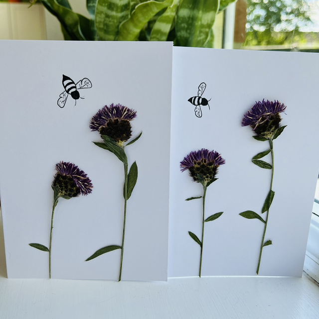 Knapweed and Bee Greeting Card