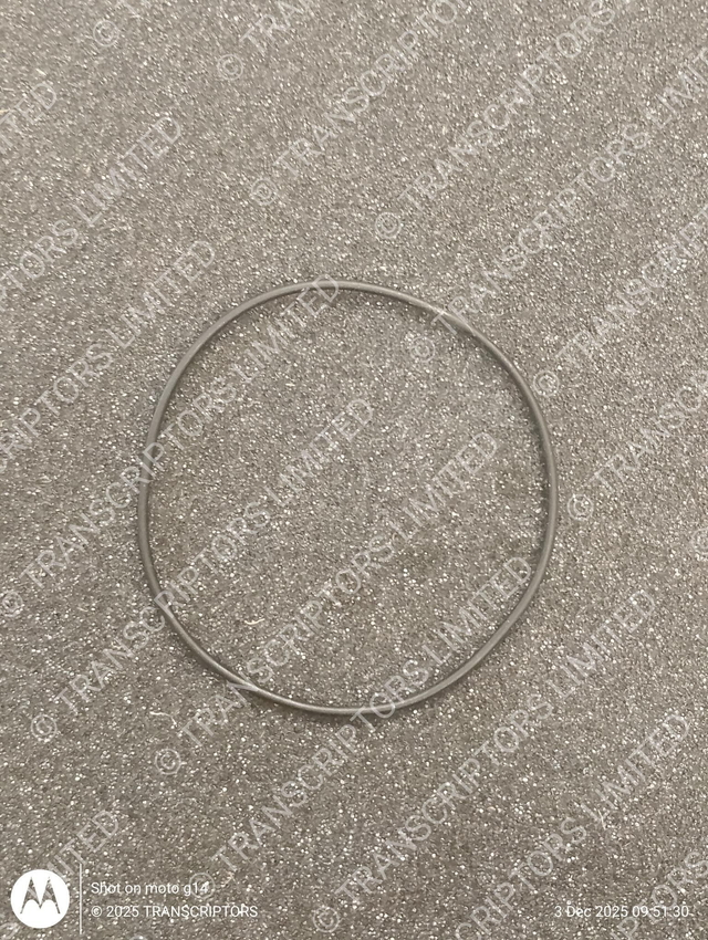 Transcriber Servo Belt