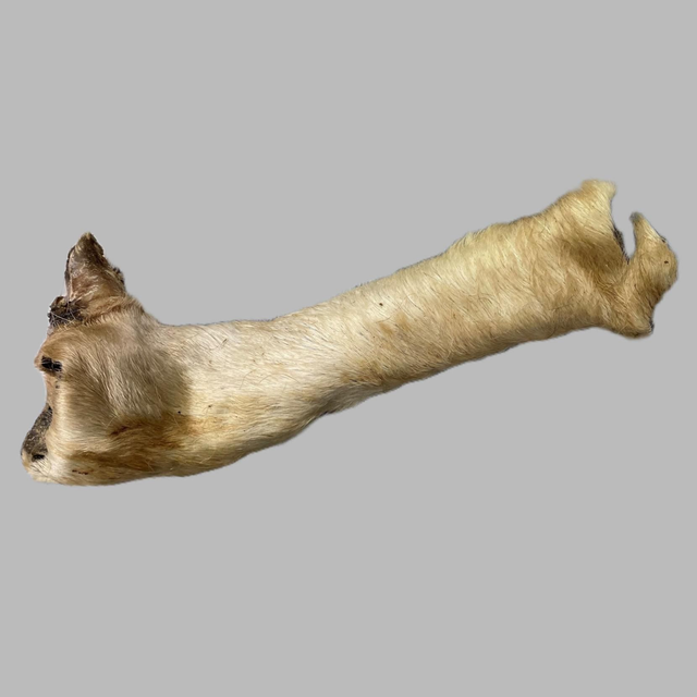 Hairy Cow Beef Skin Roll - Large 