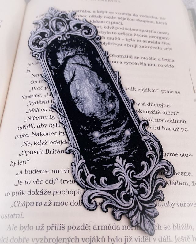 Záložka Frame Temný les