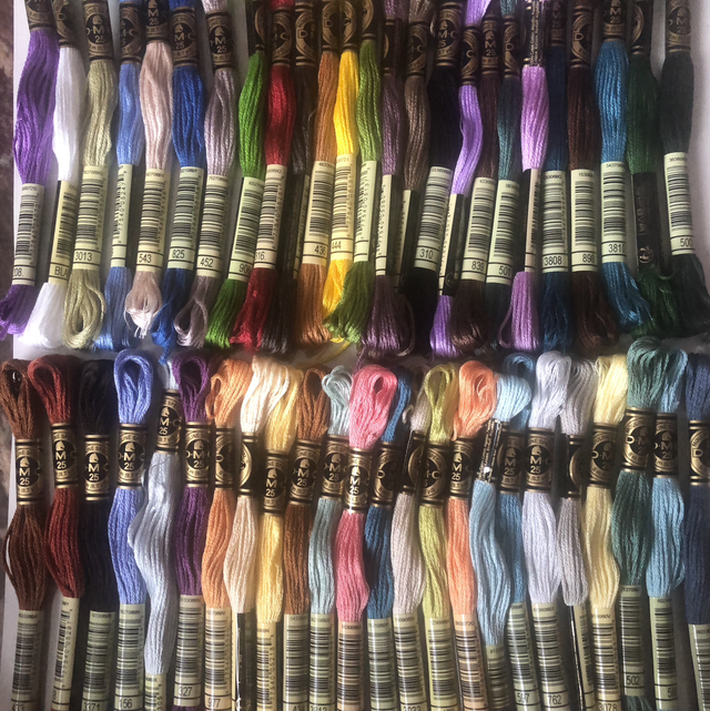 50 Skeins DMC Thread Bundle